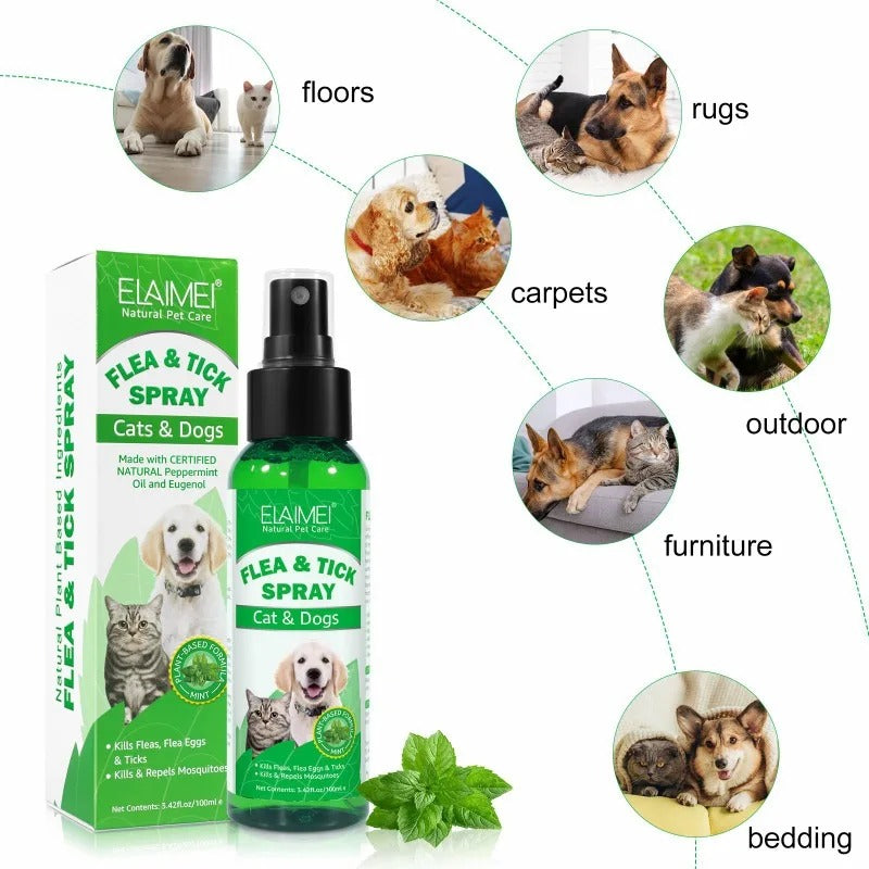 Avelena | Wagaway Langzeit-Natur-Insekten-, Zecken- & Bettwanzen-Spray für Haustiere/Menschen/Heim - 600+ Sprays
