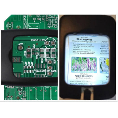 Avelena | Vollseiten-Vergrößerungsglas mit Licht & Ständer | Lesehilfe für Senioren