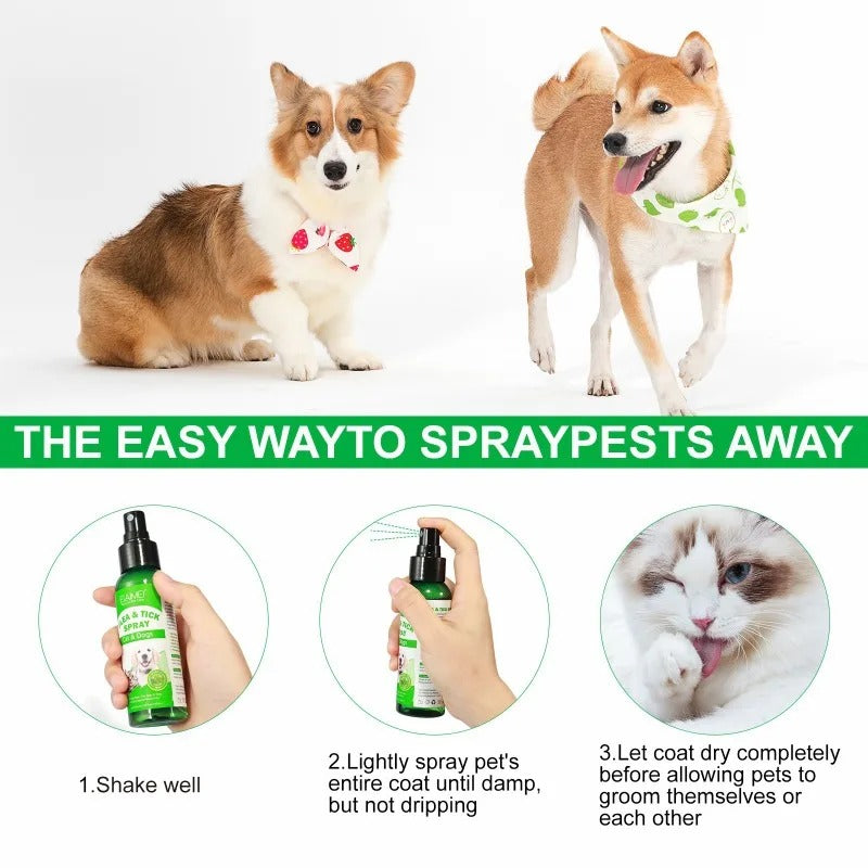 Avelena | Wagaway Langzeit-Natur-Insekten-, Zecken- & Bettwanzen-Spray für Haustiere/Menschen/Heim - 600+ Sprays