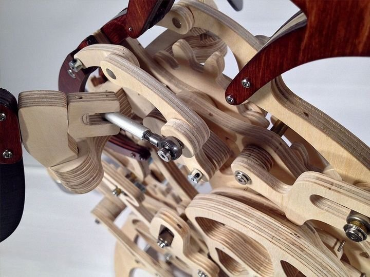 Avelena | 3D Holz Mechanische Kolibri und Holz Mechanische Schildkröte