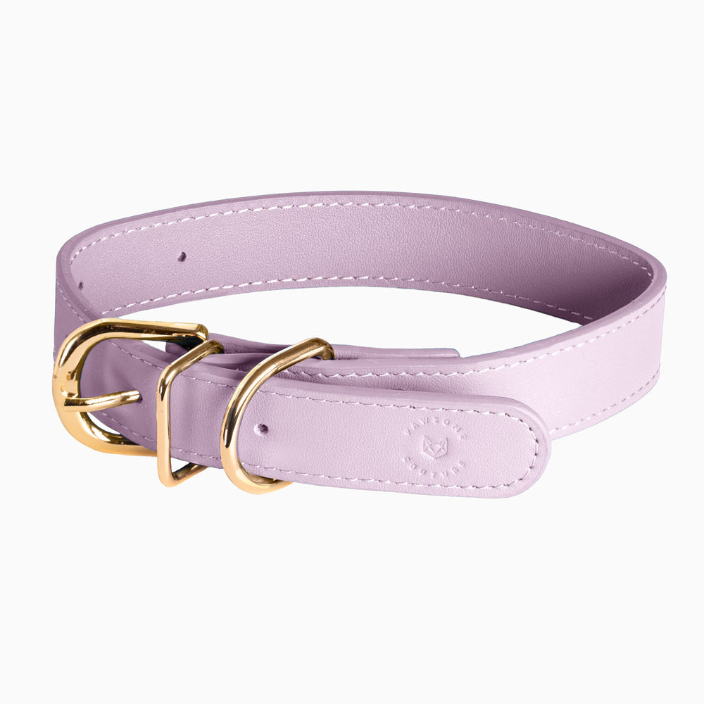 Avelena | Lederhalsband für Hunde