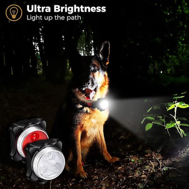 Avelena | Waglight Leuchtendes Led Hundehalsband/Geschirr Taschenlampe - Aufladbar