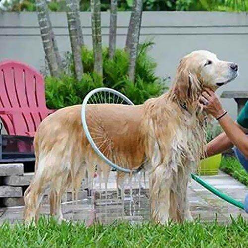 Avelena | 360 Pet Shower Tool Aquapaws