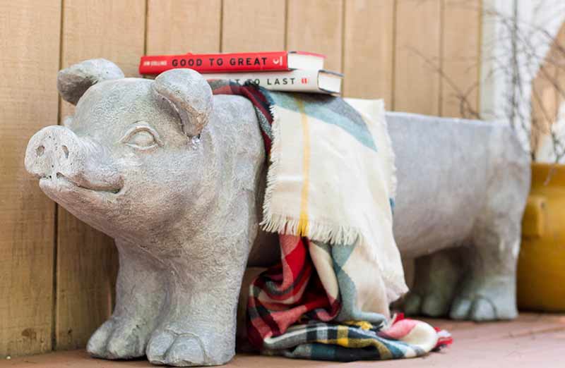 Avelena | Gross Eklectic Pig Gartenbank