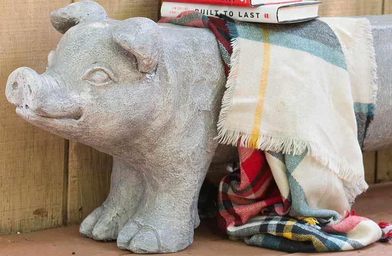 Avelena | Gross Eklectic Pig Gartenbank