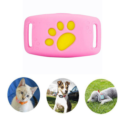Avelena | Schlanke Gps Katzenhalsband