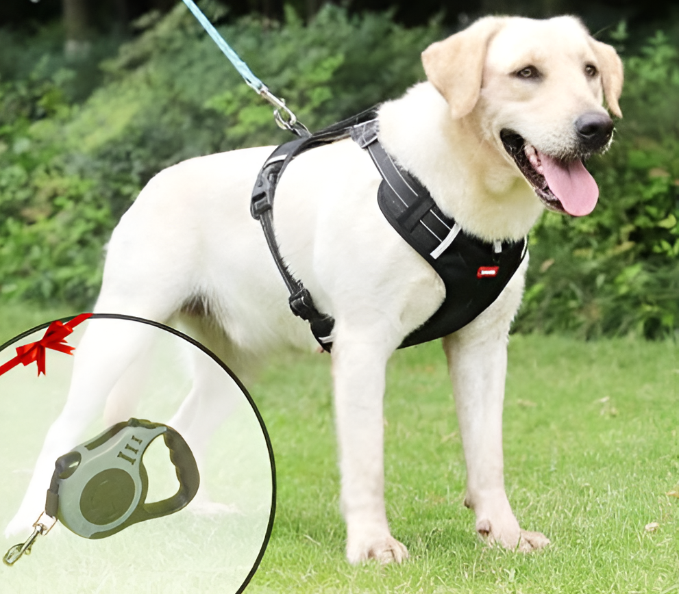Avelena | Anti-Zieh Hundegeschirr Flexifit