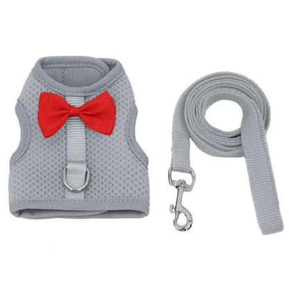 Avelena | 1 Set Haustier Kaninchen Geschirr Trainings Zug Leine Stylische Schleifen Dekoration Kleine Haustiere Kaninchen Zuggeschirr Für Outdoor Spaziergänge