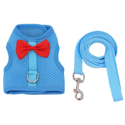 Avelena | 1 Set Haustier Kaninchen Geschirr Trainings Zug Leine Stylische Schleifen Dekoration Kleine Haustiere Kaninchen Zuggeschirr Für Outdoor Spaziergänge