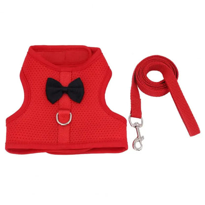 Avelena | 1 Set Haustier Kaninchen Geschirr Trainings Zug Leine Stylische Schleifen Dekoration Kleine Haustiere Kaninchen Zuggeschirr Für Outdoor Spaziergänge