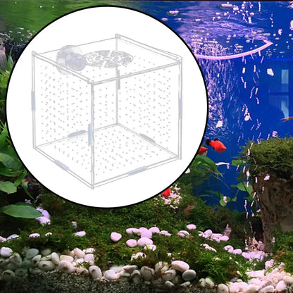 Avelena | Aquarium Isolation Box Multifunktionale Aquariumversorgung Fischzucht Halter Für Neugeborene Brütlinge Guppy Aggressive Fischbabys Garnelen