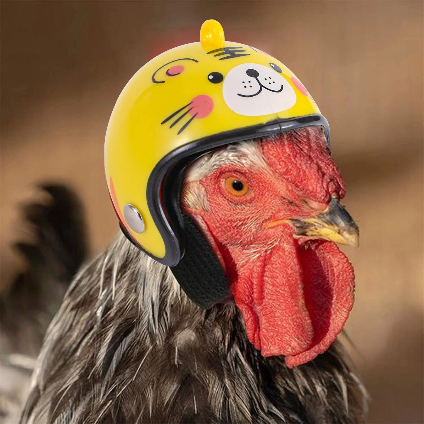 Avelena | 1Stück Hühnerhelm Kleintier Hartschalenhelm Vogel Wachtel Taube Hut Kopfbedeckung Haustier Vogelhelm Diy Cartoon Charakter Helm Haustierbedarf