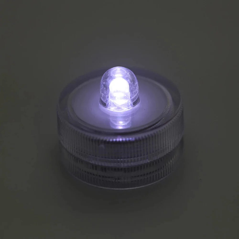 Avelena | 1Pcs Mikro Landschaft Lampe Led Licht Wasserdicht Aquarium Fisch Tank Licht Zuhause Tisch Dekoration Kleine Eco Zylinder Zubehör
