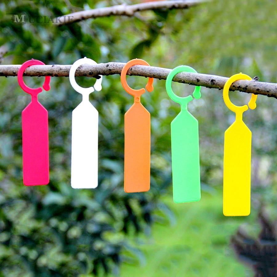 Avelena | 50Pcs Ring Plastik Hängeschilder Garten Pflanzen Topf Marker Wiederverwendbar Wasserdicht Dicke Haken Baum Etiketten Dekoration Werkzeug