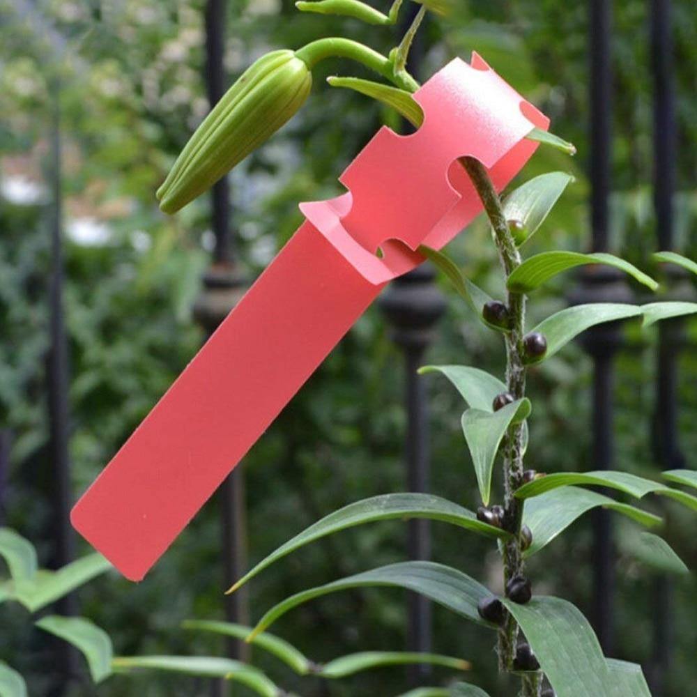 Avelena | Pvc Kunststoff Pflanzenmarker Pflanzenetikett Pflanzenmarker für Gartenring Pflanzenetikett 21*2Cm Wasserdicht Wiederverwendbar