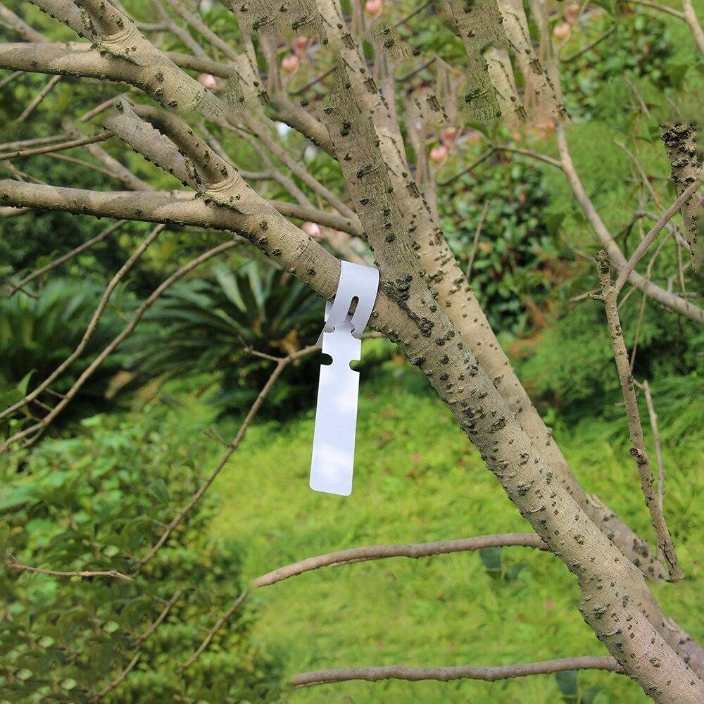 Avelena | Pvc Kunststoff Pflanzenmarker Pflanzenetikett Pflanzenmarker für Gartenring Pflanzenetikett 21*2Cm Wasserdicht Wiederverwendbar