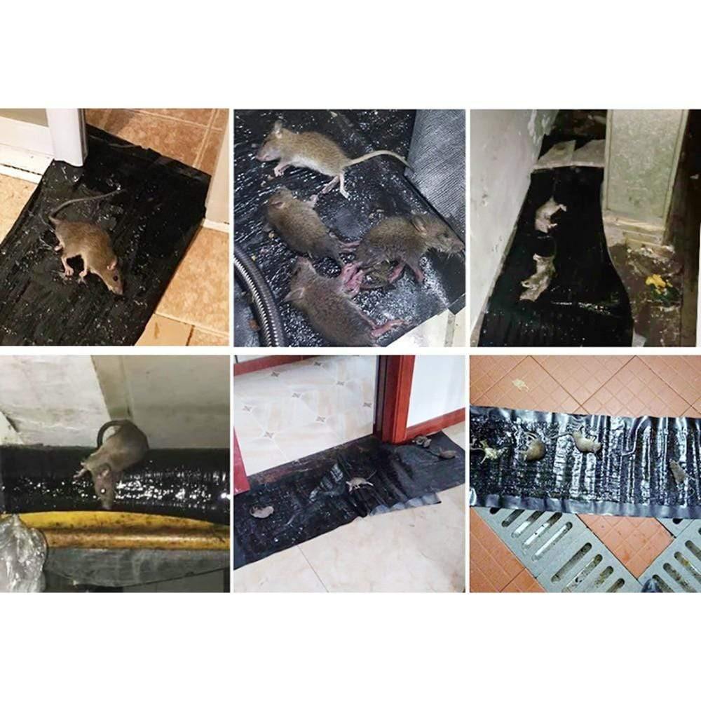 Avelena | 4 Stück Anti-Ratte Große Große Klebrige Klebefalle für Nagetiere Maulwürfe Mausfalle Ratte Mäusefalle Schwarz Unsichtbare Mauskleberfalle - 4 Stück