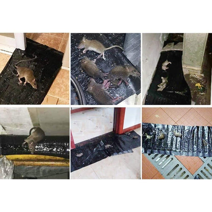 Avelena | 4 Stück Anti-Ratte Große Große Klebrige Klebefalle für Nagetiere Maulwürfe Mausfalle Ratte Mäusefalle Schwarz Unsichtbare Mauskleberfalle - 4 Stück