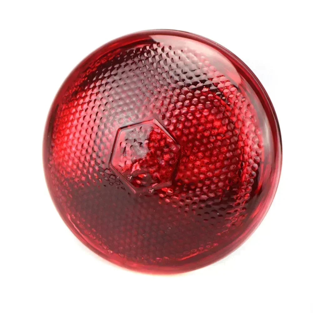 Avelena | 220V Geflügel Heizbirne 100/150/200/275W Infrarot Isolationsheizung Für Reptilien Pflanzen Amphibien Haustiere Nutztiere