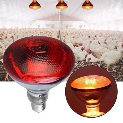 Avelena | 220V Geflügel Heizbirne 100/150/200/275W Infrarot Isolationsheizung Für Reptilien Pflanzen Amphibien Haustiere Nutztiere