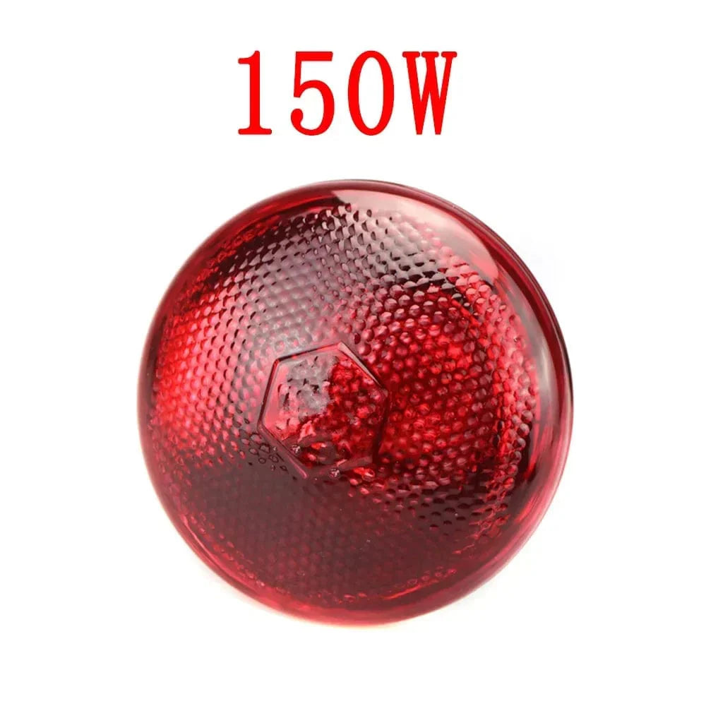 Avelena | 220V Geflügel Heizbirne 100/150/200/275W Infrarot Isolationsheizung Für Reptilien Pflanzen Amphibien Haustiere Nutztiere