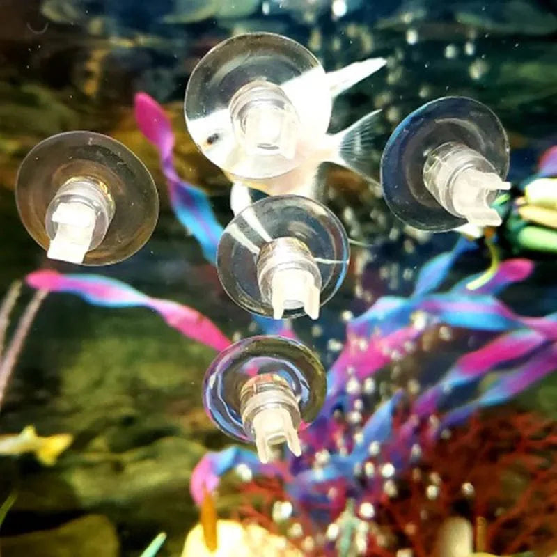 Avelena | 5 Stück Aquarium Saugnäpfe Luftschlauchhalter Saugfür Fischtankpumpe Sauerstoffluftschlauch Befestigungsclip 4/5 Mm Zubehör