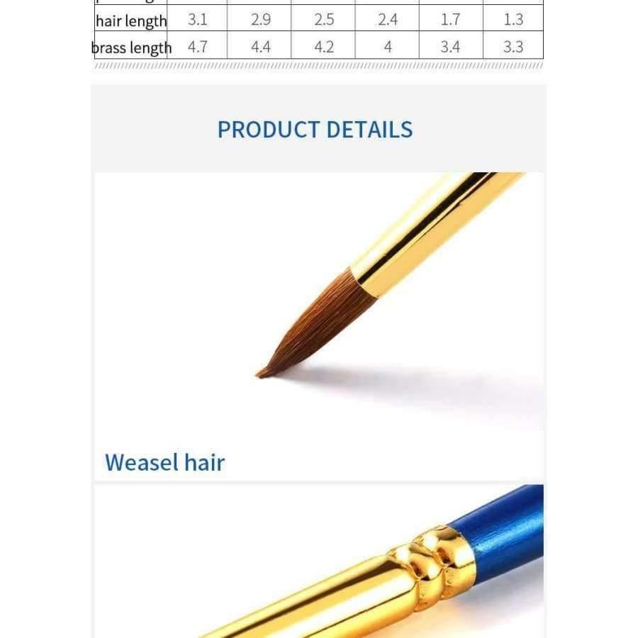 Avelena | 6-Teiliges Set Marderhaar Professionelle Aquarellpinsel mit Box Aquarell Malen Pinsel Schreibwaren Kunstbedarf