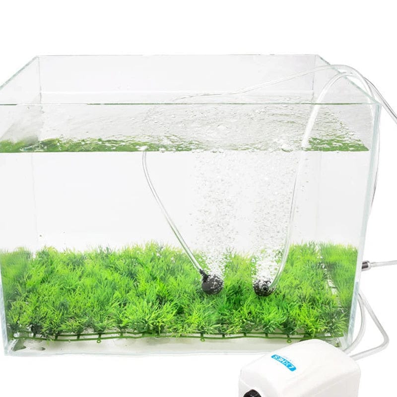 Avelena | Aquarium Co2 System Ausstattungszubehör Co2 Ölbeständig Hochdruck Fischtank Spezialrohr Pu-Rohr Innendurchmesser 4-6Mm