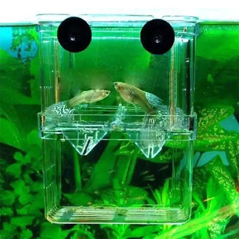Avelena | Aquarium Fisch Zucht Box Haltbare Betta Fisch Tank Fisch Zucht Isolation Box Brutkasten Box Für Baby Fisch Garnelen