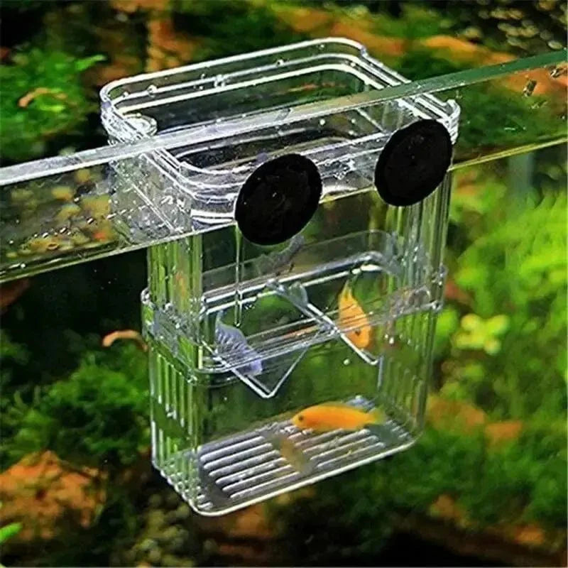 Avelena | Aquarium Fisch Zucht Box Haltbare Betta Fisch Tank Fisch Zucht Isolation Box Brutkasten Box Für Baby Fisch Garnelen
