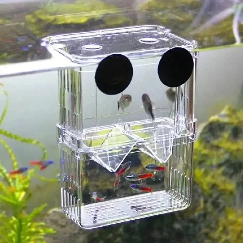 Avelena | Aquarium Fisch Zucht Box Haltbare Betta Fisch Tank Fisch Zucht Isolation Box Brutkasten Box Für Baby Fisch Garnelen