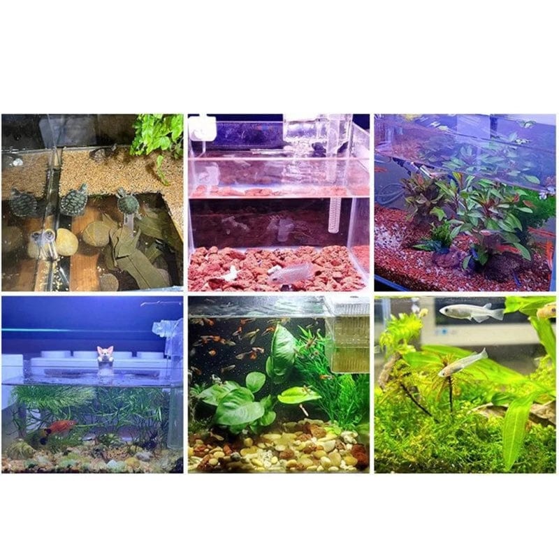 Avelena | Aquarium Fisch Led Licht Clip Auf Klein Wuchs Licht Drehbar Landschaft Lampen