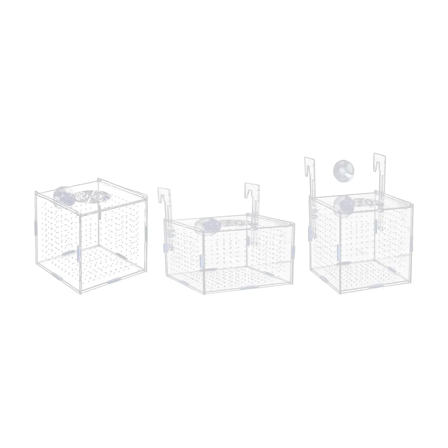Avelena | Aquarium Isolation Box Multifunktionale Aquariumversorgung Fischzucht Halter Für Neugeborene Brütlinge Guppy Aggressive Fischbabys Garnelen