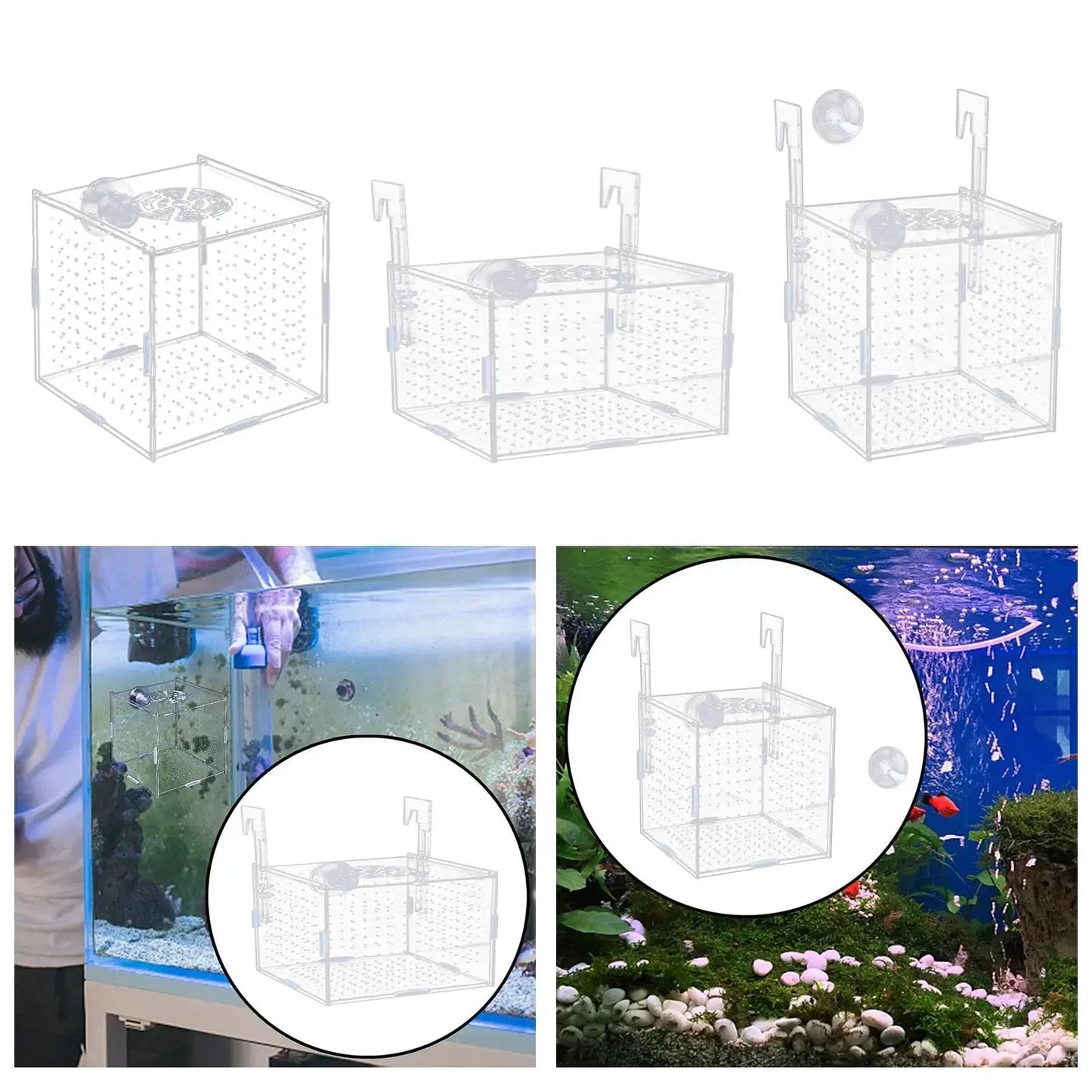 Avelena | Aquarium Isolation Box Multifunktionale Aquariumversorgung Fischzucht Halter Für Neugeborene Brütlinge Guppy Aggressive Fischbabys Garnelen