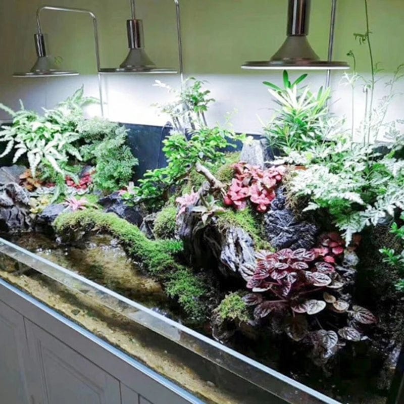 Avelena | Aquarium Led-Lampen 20W/40W Wasserpflanzen Wachstumslicht Schildkröte-Reptilienbeleuchtung Klemmlampe für Aquarien