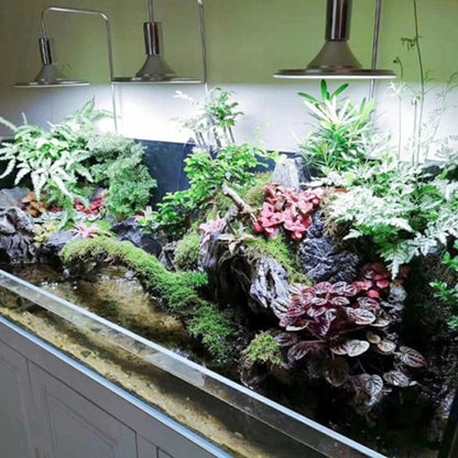 Avelena | Aquarium Led-Lampen 20W/40W Wasserpflanzen Wachstumslicht Schildkröte-Reptilienbeleuchtung Klemmlampe für Aquarien