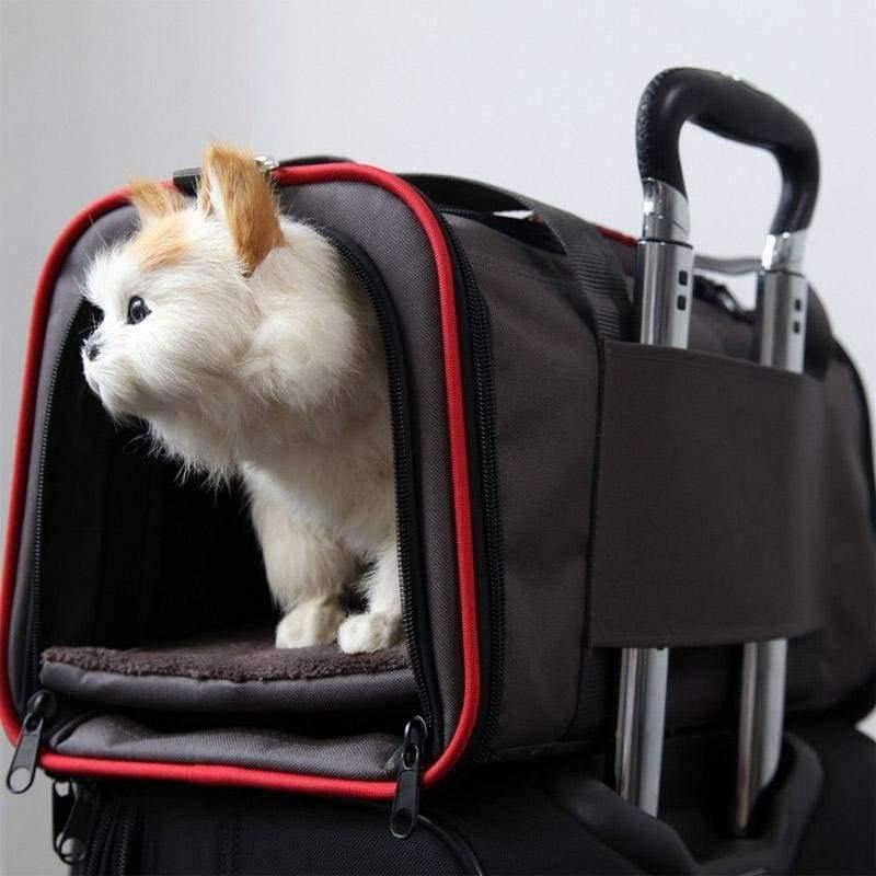 Avelena | Erweiterbare Tragbare Haustier Hund Auto Reise Tasche für Kleine Hunde Oxford Atmungsaktiver Katzen Tragetasche Outdoor Auto Reise Zubehör