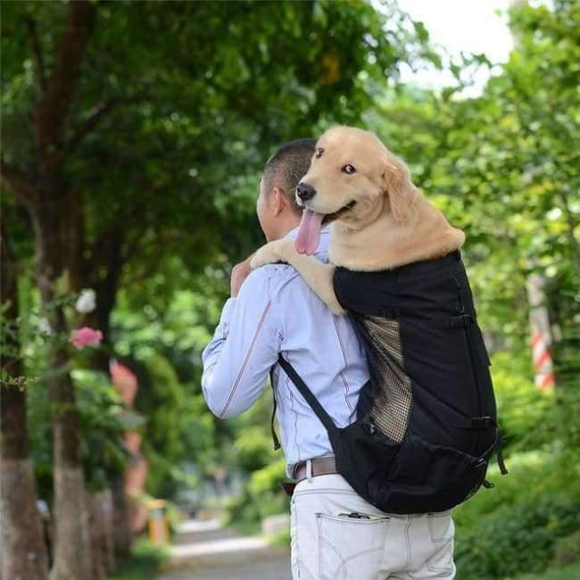 Avelena | Hundetasche Träger Haustier Hund Rucksack für Große Mittelgroße Kleine Hunde Atmungsaktive Reise Hundeträger für Reiten Wandern S-Xl