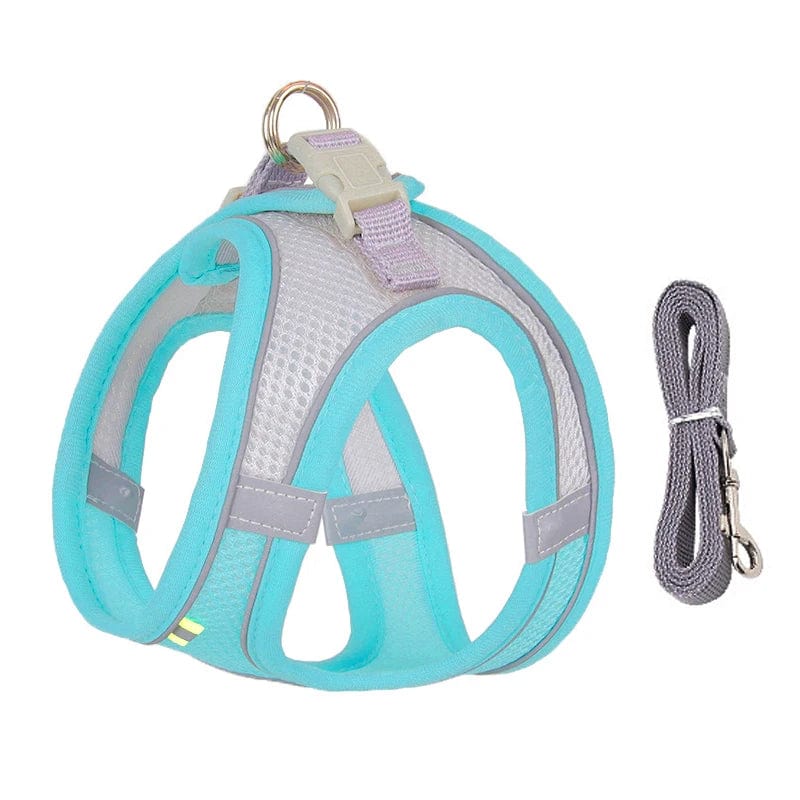 Avelena | Hundegeschirr Liner Set für Kleine Hunde Verstellbares Welpen Katzen Geschirr Weste Französische Bulldogge Chihuahua Mops Outdoor Spaziergang Gelenk