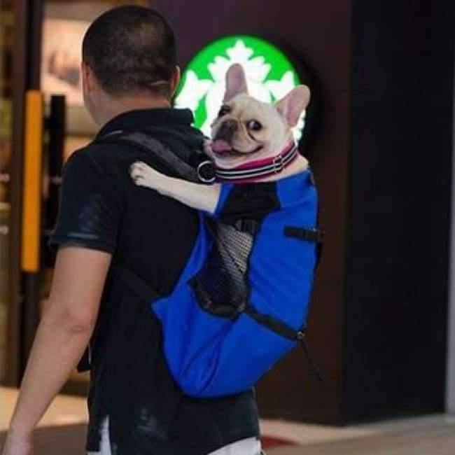 Avelena | Hundetasche Träger Haustier Hund Rucksack für Große Mittelgroße Kleine Hunde Atmungsaktive Reise Hundeträger für Reiten Wandern S-Xl