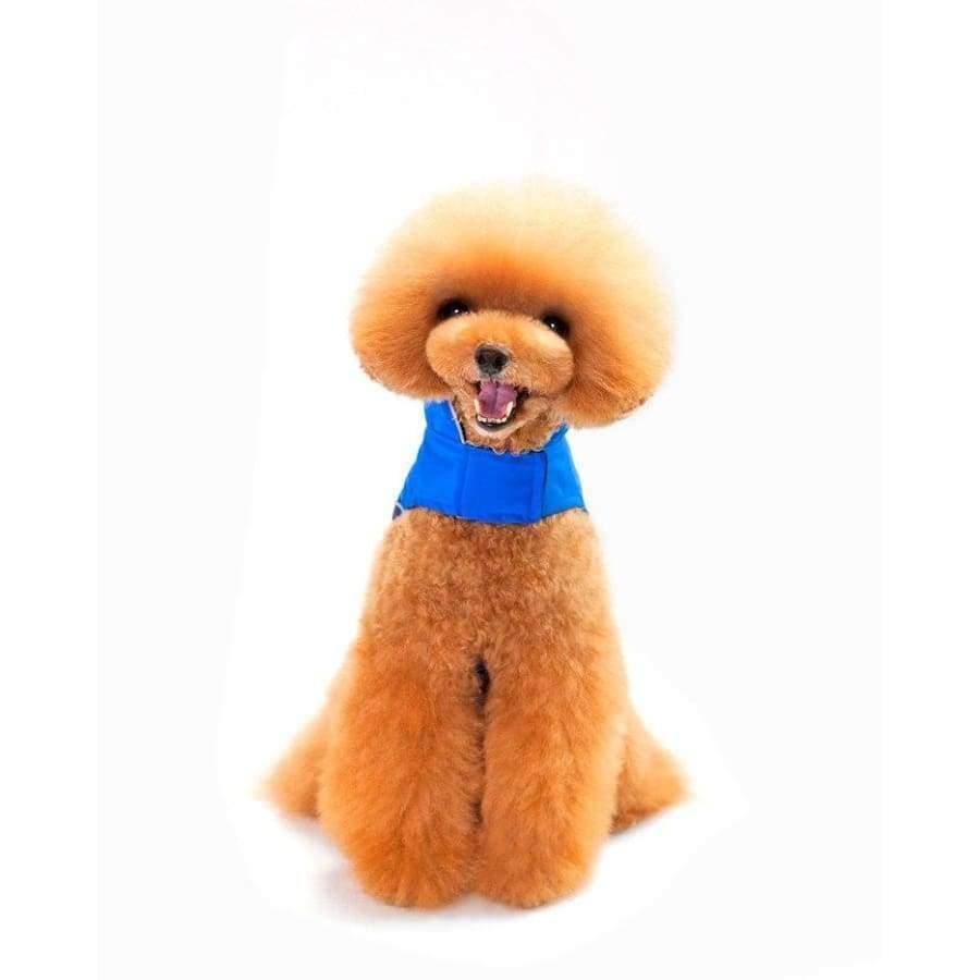 Avelena | Welpenjacke Mantel Weste Wasserdicht Winter Warm Haustierkleidung Hundekleidung für Kleine Mittelgroße Große Hunde