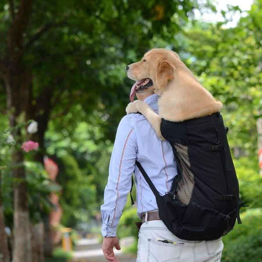 Avelena | Hundetasche Träger Haustier Hund Rucksack für Große Mittelgroße Kleine Hunde Atmungsaktive Reise Hundeträger für Reiten Wandern S-Xl