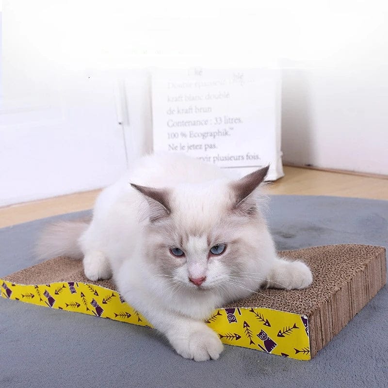 Avelena | Katzenspielzeug Haustier Katze Kratzbrett Wellpappe Pad Krallenpflege Interaktiv Möbel Schützend Katzen Kratzer Spielzeug