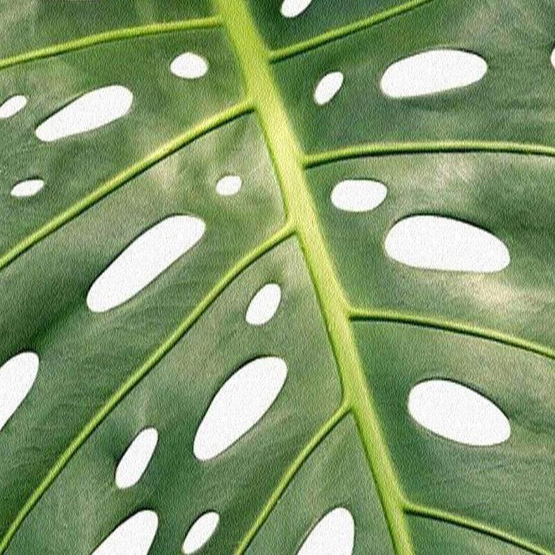 Avelena | Benutzerdefinierte 3D Tapete Südostasien Tropischer Regenwald Bananenblatt Foto Hintergrund Wandmalereien Vlies-Tapete Modern