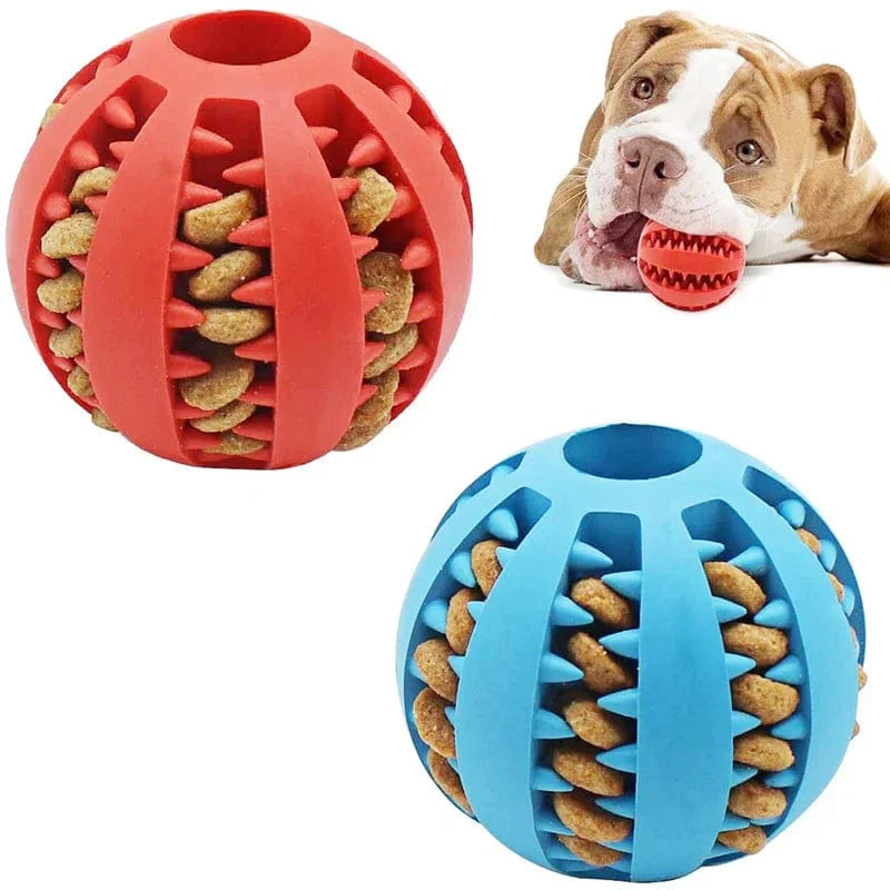 Avelena | Hund Ball Spielzeug für Kleine Hunde Interaktiv Elastizität Welpen Kauknochen Spielzeug Zahnreinigung Gummi Futter Ball Spielzeug Haustierzubehör