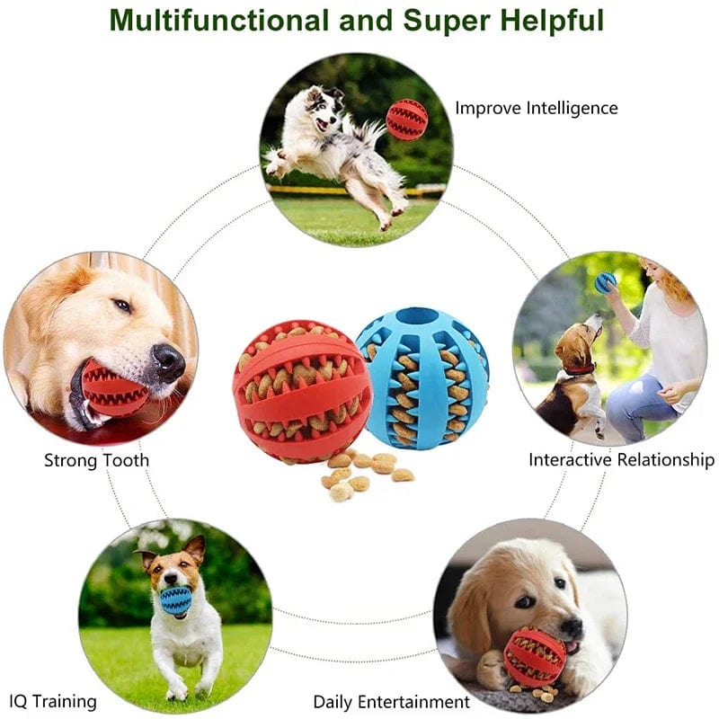 Avelena | Hund Ball Spielzeug für Kleine Hunde Interaktiv Elastizität Welpen Kauknochen Spielzeug Zahnreinigung Gummi Futter Ball Spielzeug Haustierzubehör