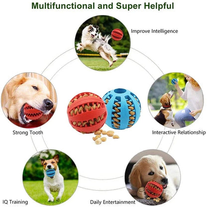Avelena | Hund Ball Spielzeug für Kleine Hunde Interaktiv Elastizität Welpen Kauknochen Spielzeug Zahnreinigung Gummi Futter Ball Spielzeug Haustierzubehör