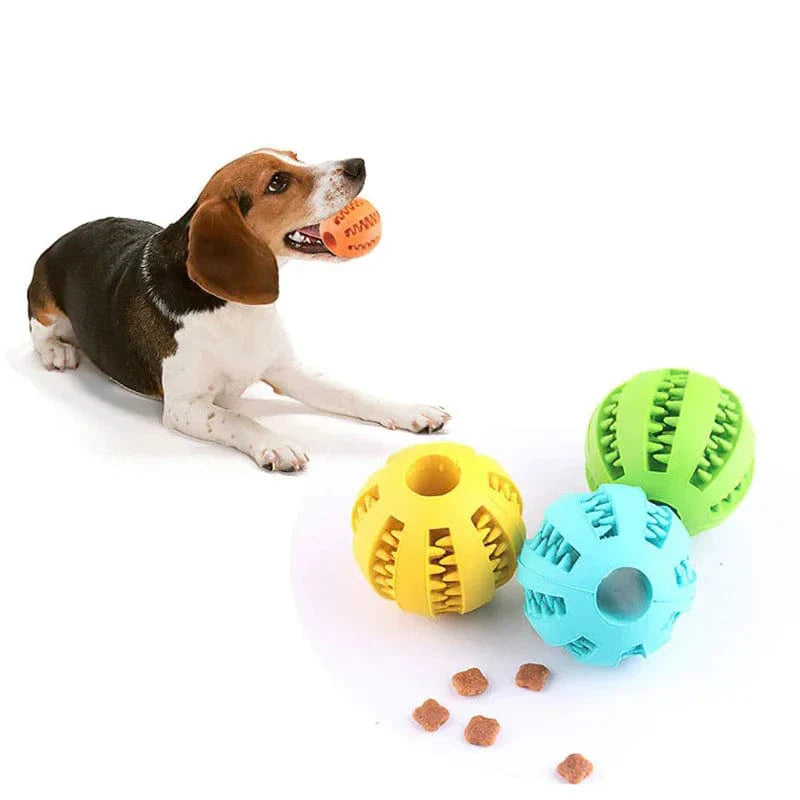 Avelena | Hund Ball Spielzeug für Kleine Hunde Interaktiv Elastizität Welpen Kauknochen Spielzeug Zahnreinigung Gummi Futter Ball Spielzeug Haustierzubehör