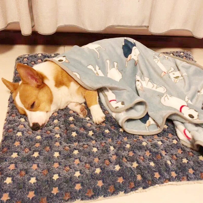 Avelena | Hundesofa Dickes Hundekissen Katze Weiche Fleece-Unterlage Teppich Schlafmatte Kissen Zuhause Waschbar Teppich Hält Warm Tierbedarf Cama Perro