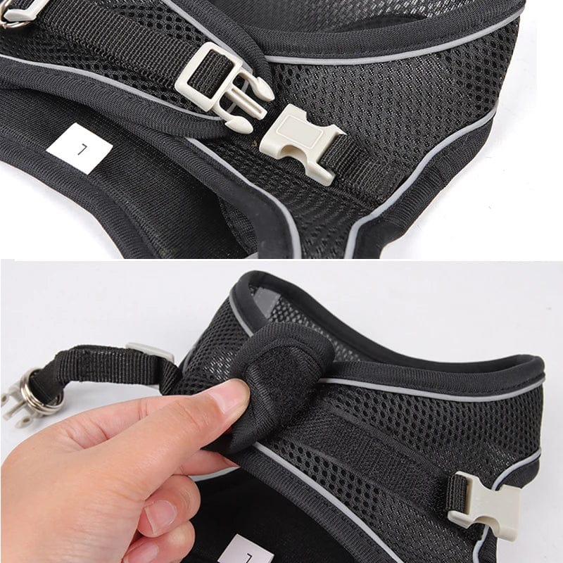 Avelena | Hundegeschirr Liner Set für Kleine Hunde Verstellbares Welpen Katzen Geschirr Weste Französische Bulldogge Chihuahua Mops Outdoor Spaziergang Gelenk